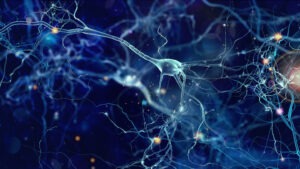 Science et Vie/Humain – Série 1 : 7 vidéos